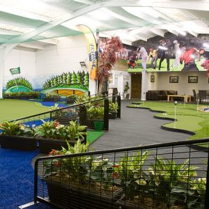 cropped-indoor-golf-arena.jpg